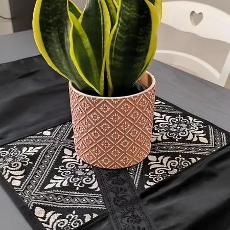 Domu E Cannonau * Nuoro (Sardinia)